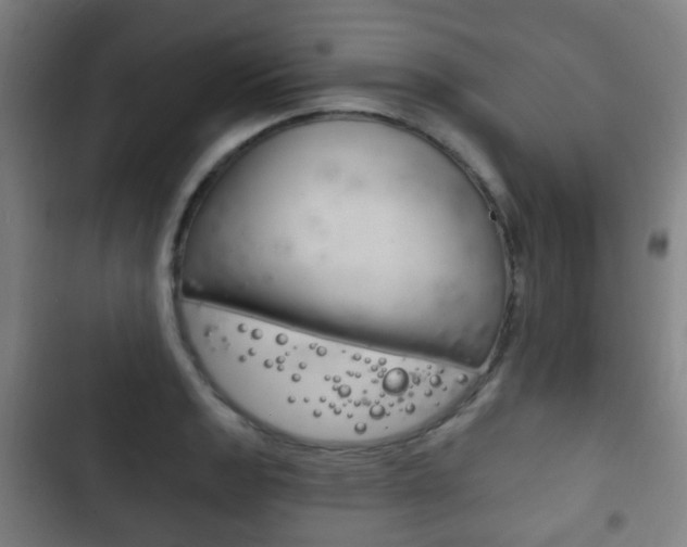 X0000103401133200809120918