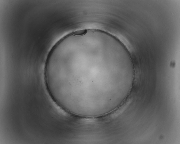X0000103401134200809120918