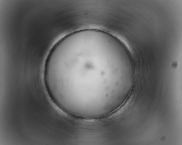 X0000103401135200809120918