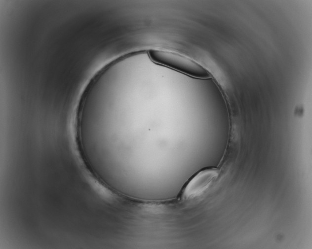 X0000103401136200809120918