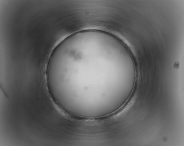 X0000103401137200809120918