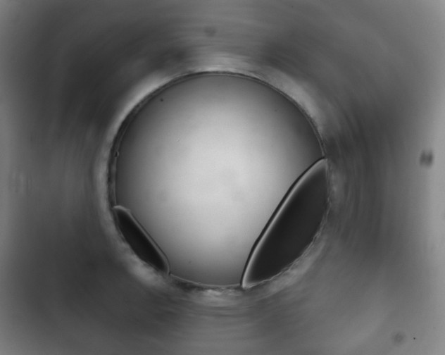 X0000103401138200809120918
