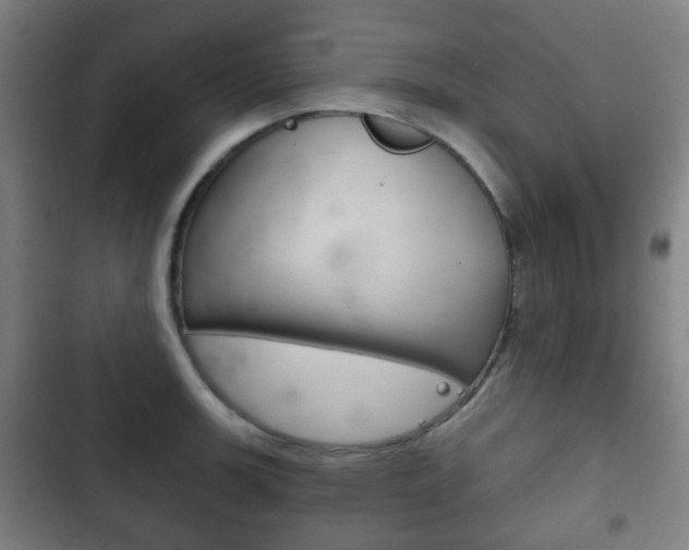 X0000103401139200809120918
