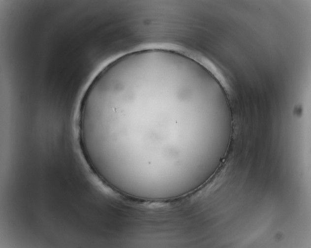 X0000103401140200809120918