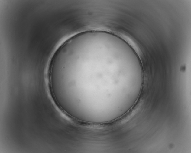 X0000103401141200809120918