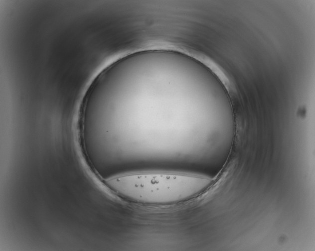 X0000103401142200809120918