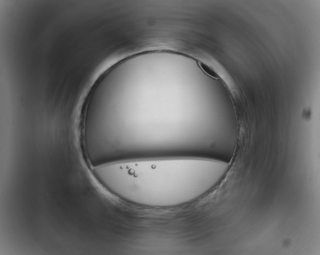 X0000103401143200809120918