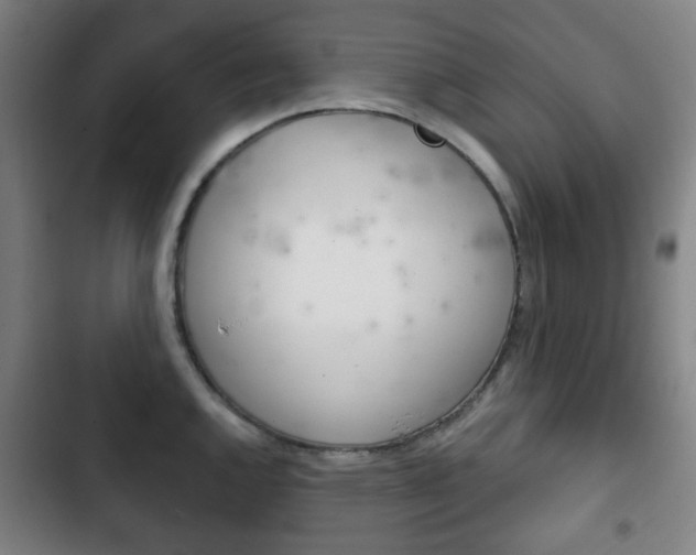 X0000103401144200809120918