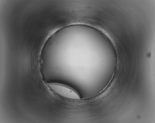 X0000103401145200809120918
