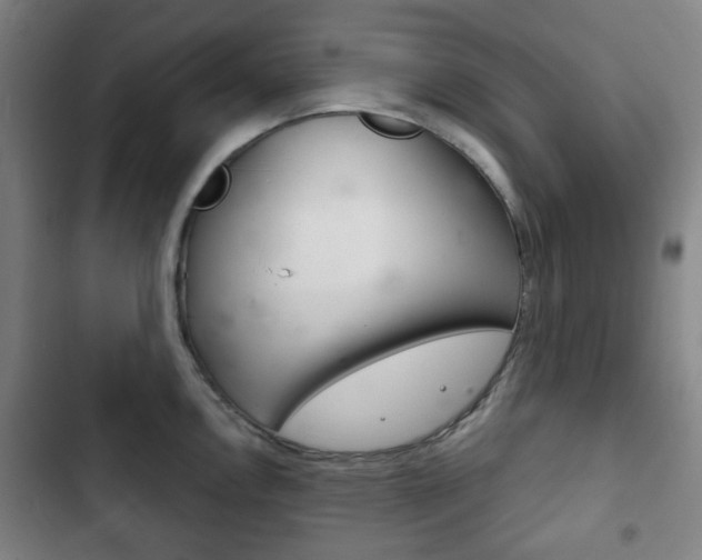 X0000103401146200809120918