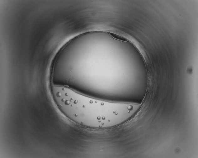 X0000103401147200809120918