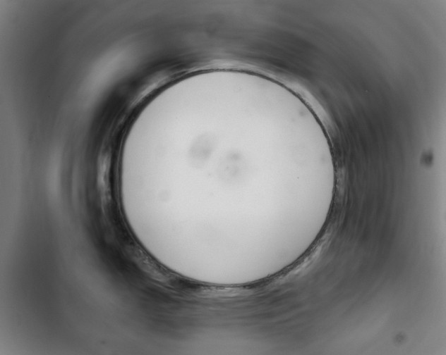 X0000103401150200809120918