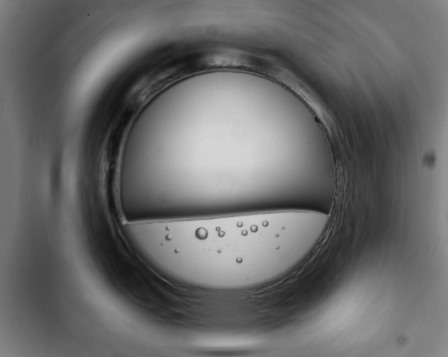 X0000103401151200809120918