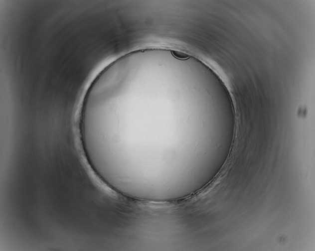 X0000103401152200809120918
