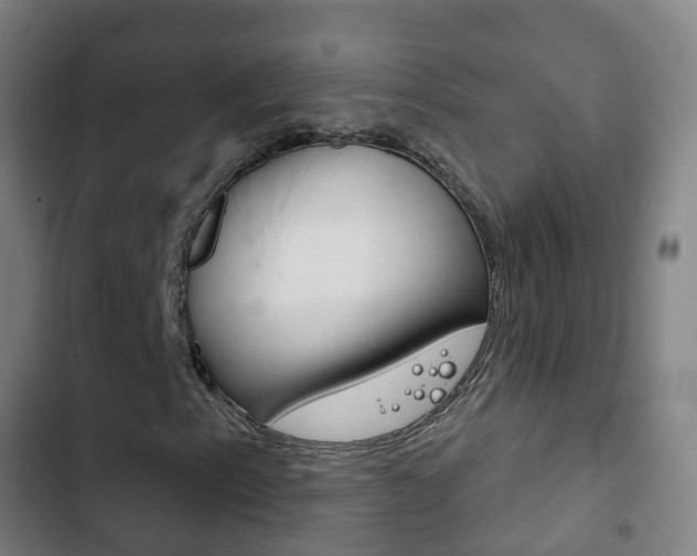 X0000103401153200809120917