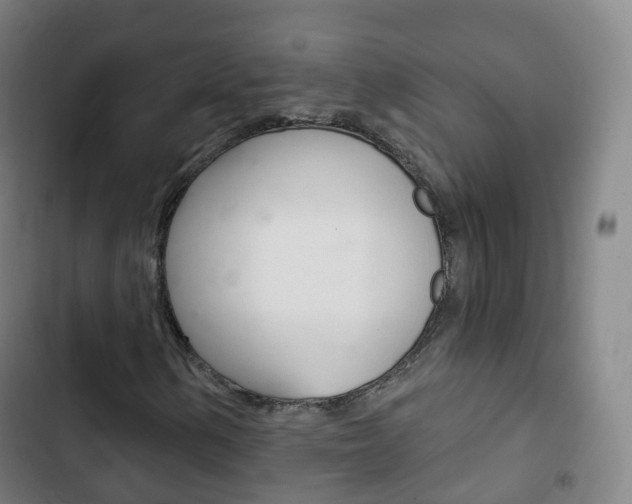 X0000103401154200809120917