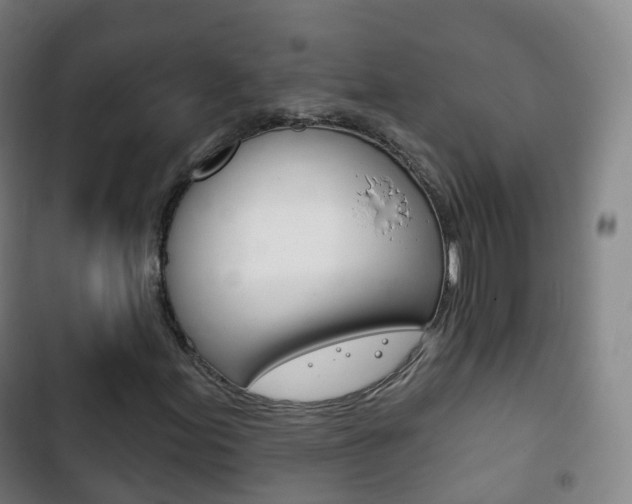 X0000103401155200809120917