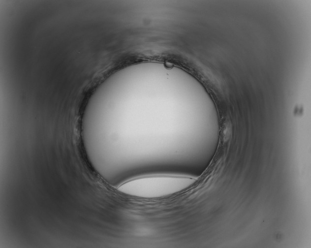 X0000103401156200809120917