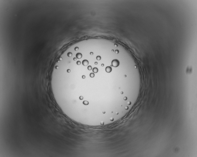 X0000103401157200809120917