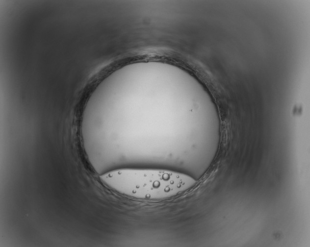 X0000103401158200809120917