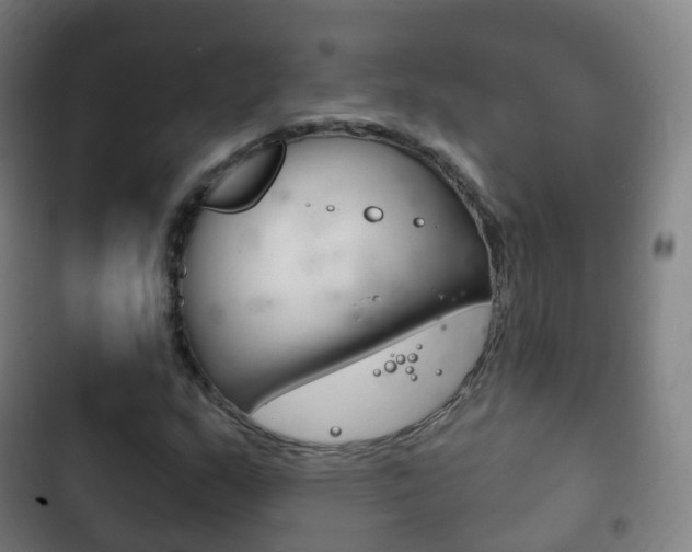 X0000103401159200809120917
