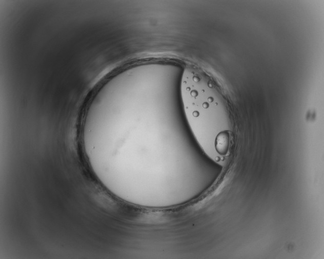 X0000103401162200809120917