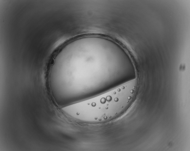 X0000103401163200809120917