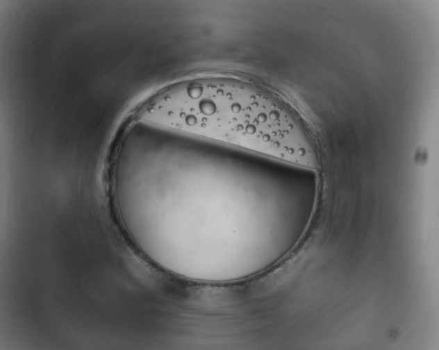 X0000103401164200809120917