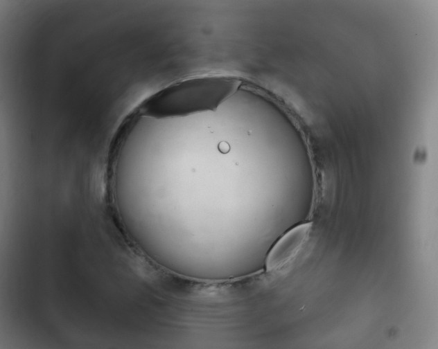 X0000103401165200809120917