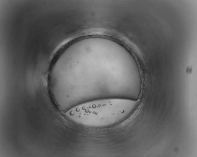 X0000103401166200809120917