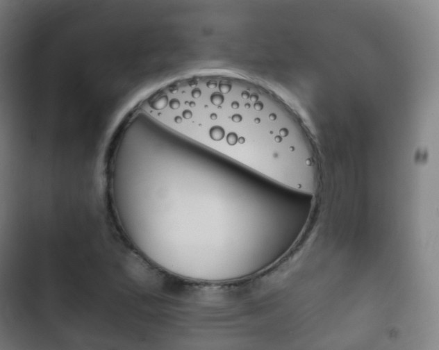 X0000103401167200809120917