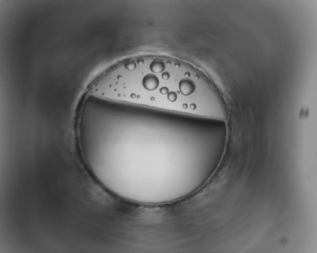 X0000103401168200809120917