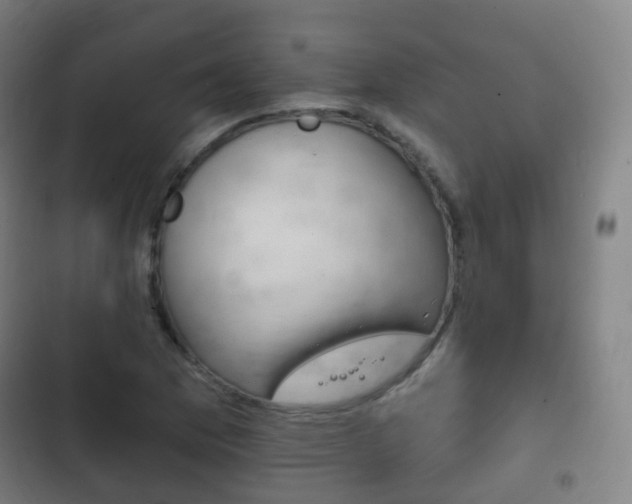X0000103401169200809120917