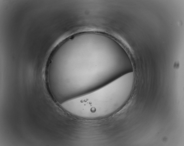 X0000103401173200809120917