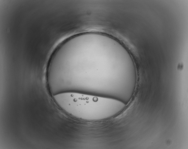 X0000103401174200809120917