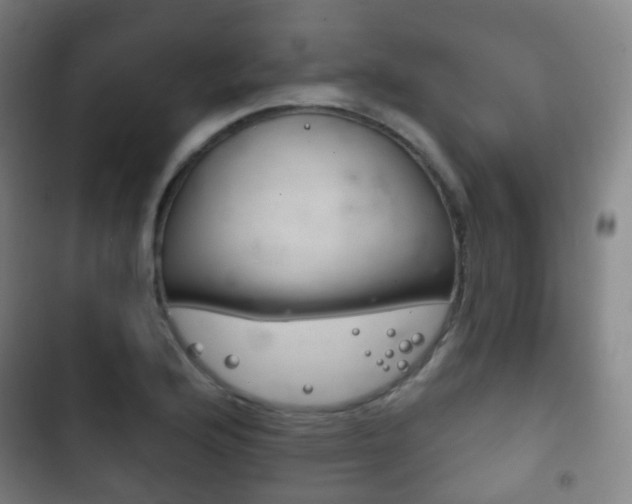 X0000103401176200809120917