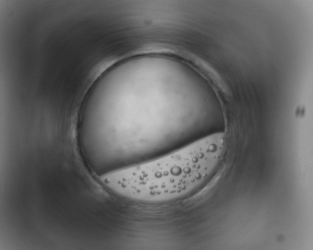 X0000103401177200809120917