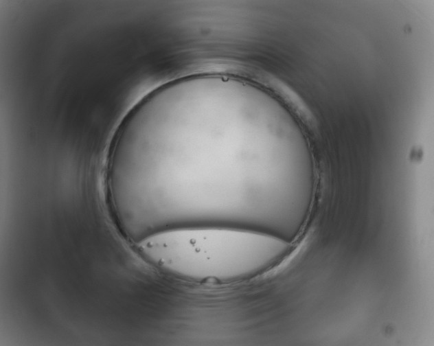 X0000103401178200809120917