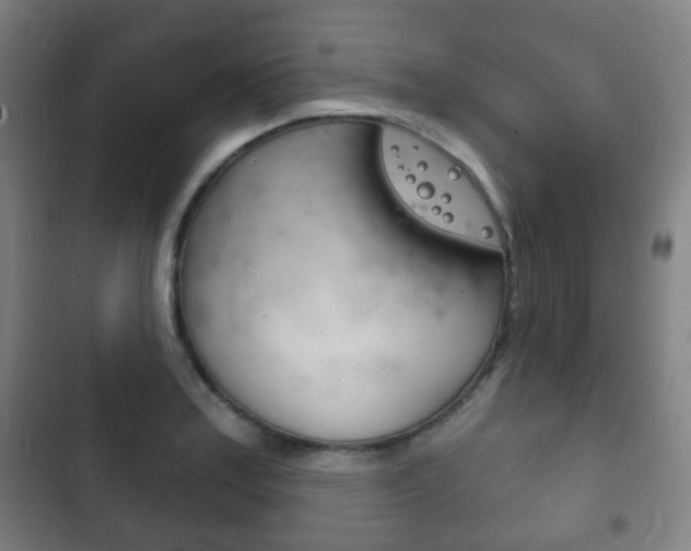 X0000103401179200809120917