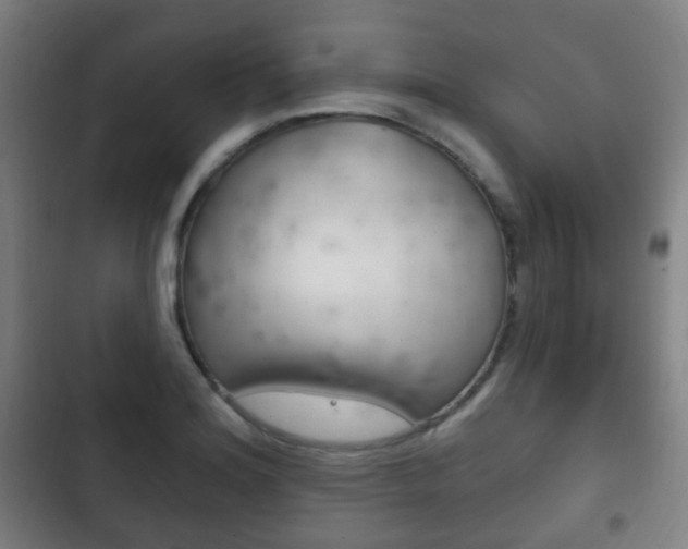 X0000103401180200809120917