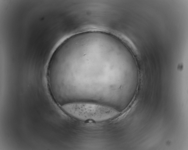 X0000103401182200809120917