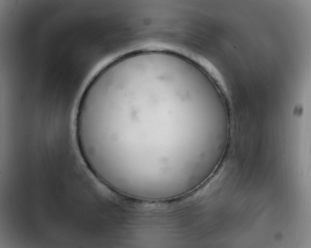 X0000103401183200809120917