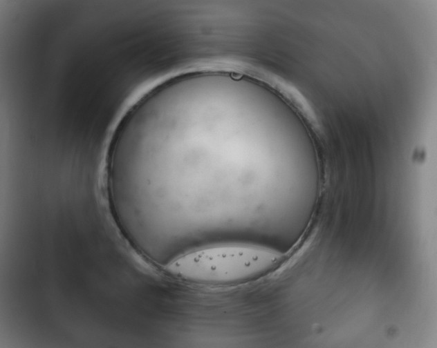 X0000103401184200809120917