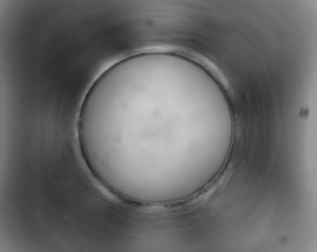 X0000103401186200809120917