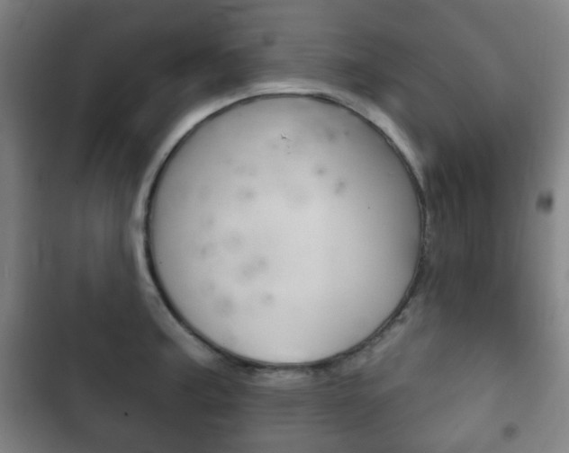 X0000103401187200809120917