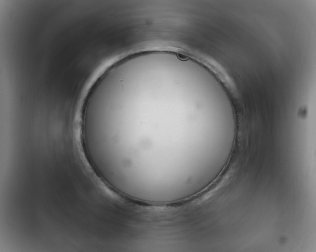 X0000103401188200809120917