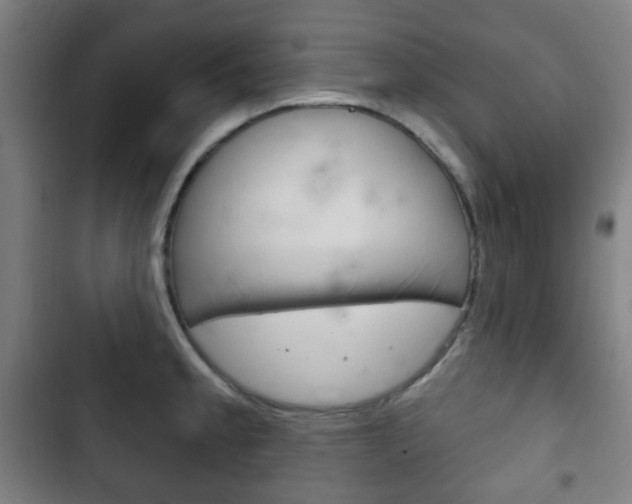 X0000103401189200809120917