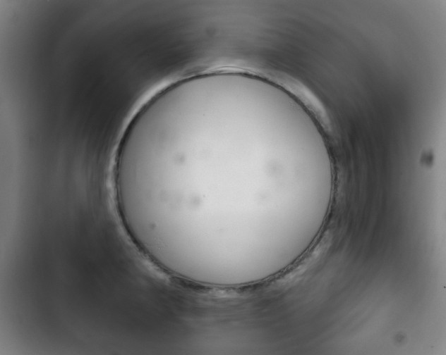 X0000103401190200809120916