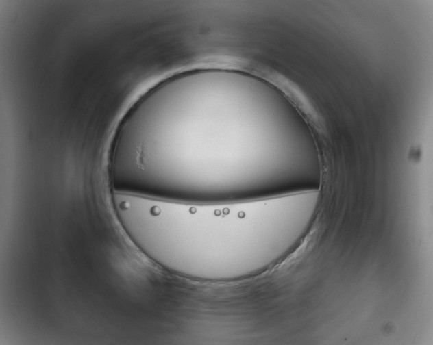 X0000103401192200809120916