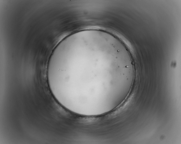 X0000103401193200809120916